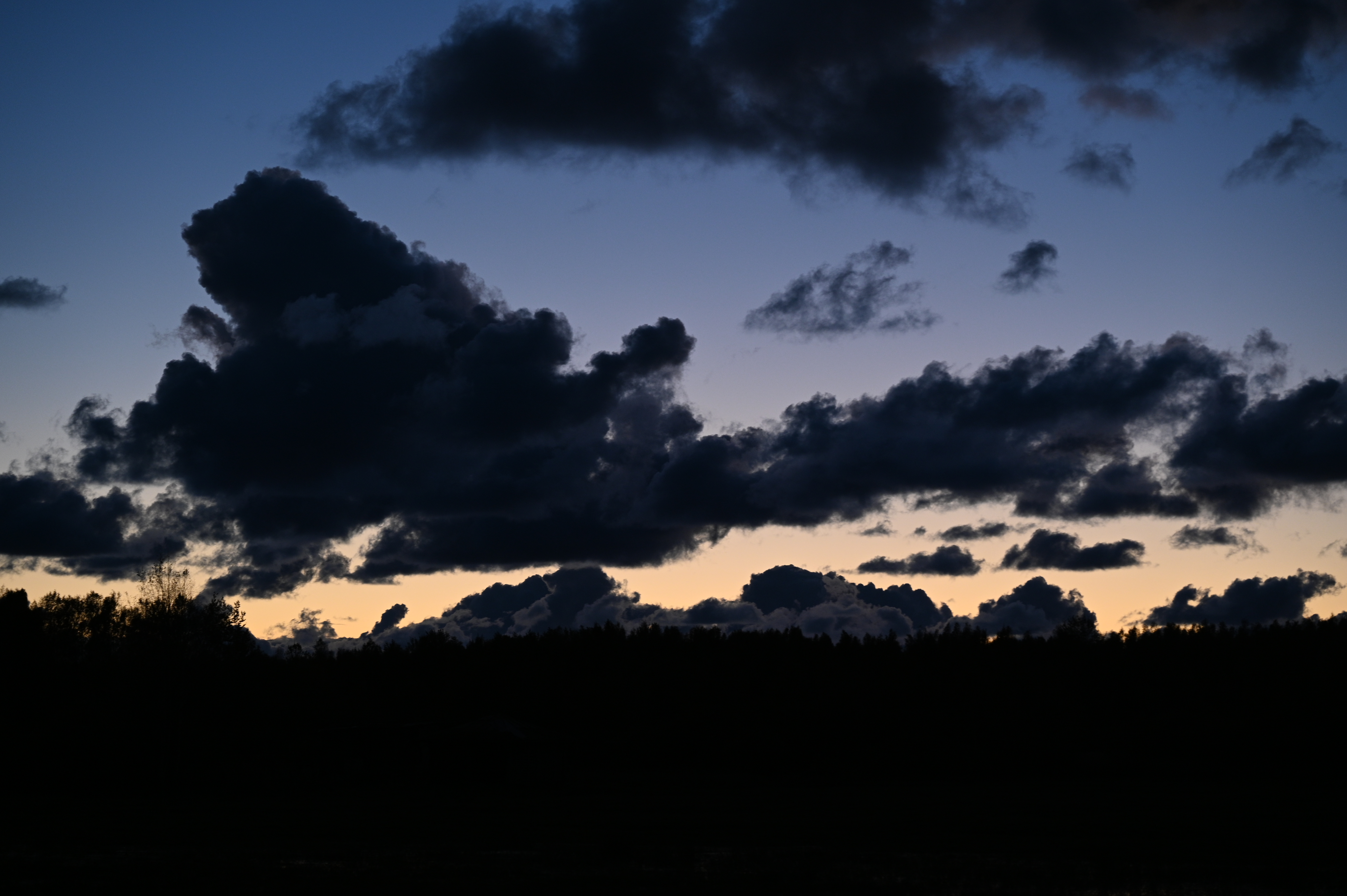 2025/10/18 - walk/DSC_0667.JPG